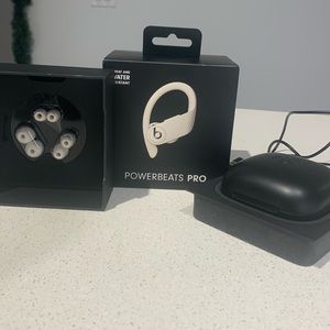 Powerbeats Pro Case Only